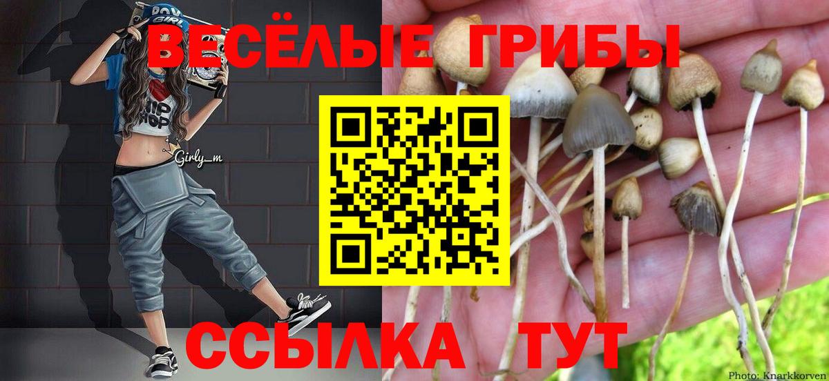 Бутурлиновка  Псилоцибиновые грибы GOLDEN TEACHER  Вход с VPN 